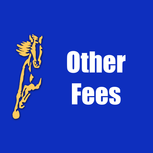 Other Fees